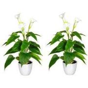 Kopu® 2 stuks Calla Kunstplant 44 cm - Zantedeschia Bekerplant Wit