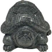 Eco deco tortoise Superfish