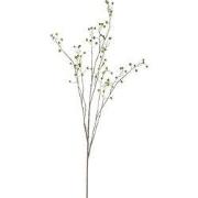 PTMD Kunsttak Berry - 84x55x134 cm - Polyester - Groen