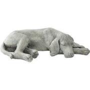 Clayre & Eef Beeld Hond Grijs Polyresin
