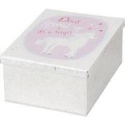 Clayre & Eef Blikken Bewaardoos 10x14x6 cm Wit Roze Metaal Eenhoorn