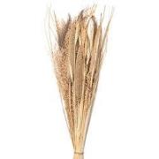 Clayre & Eef Droogbloemen 80 cm Beige Droogbloemen