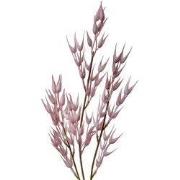 Clayre & Eef Kunstbloem 72 cm Roze Kunststof