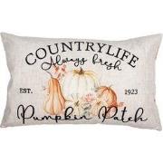 Clayre & Eef Kussenhoes 30x50 cm Beige Polyester Pompoen