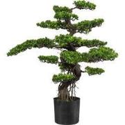 Kopu® Kunstplant Bonsai 75 cm - in zwarte Pot - Bonsai boompje