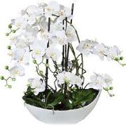 Kopu® Kunstbloem Volle Orchidee 68 cm Wit met Schaal - Phalenopsis