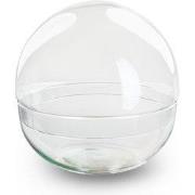 URBANJNGL - Terrarium fles 'Dome XL' - Tweedelig bolglas - Gesloten te...