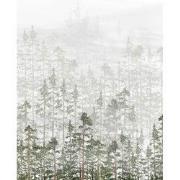 Mistig dennenbos - Kinderbehang - 194,8 cm x 280 cm - Walloha