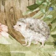 Bospret - Kinderbehang - 389,6 cm x 280 cm - Walloha