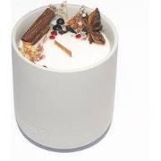 Cozy Fireplace Memories BOTANIC Geurkaars