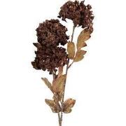 Clayre & Eef Kunstbloem 10x8x76 cm Bruin Kunststof