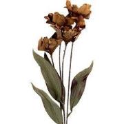 Clayre & Eef Kunstbloem 60 cm Bruin Kunststof