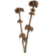 Clayre & Eef Kunstbloem 6x6x58 cm Bruin Kunststof