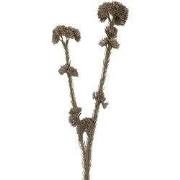 Clayre & Eef Kunstbloem 6x6x58 cm Grijs Kunststof