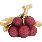 Light & Living - Ornament JAGODY - 24x14x16.5cm - Rood