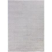 Cara vloerkleed - Cubico Modern Japandi - Zilver - 120 X 170 CM