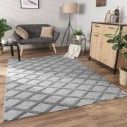 Laagpolig Modern Vloerkleed Utrilia - Grijs - 80x150 cm