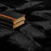 Hoogpolig Rabbit Plus Vloerkleed - Effen Uni - Zwart - 80x150 cm