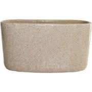 HS Potterie Lugo Beige - 14