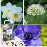 Bloembollen - 35 stuks - Sunny Garden Box - Anemoon, Allium, Narcis