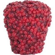 Light & Living - Vaas BERRIES - Ø25x25cm - Rood
