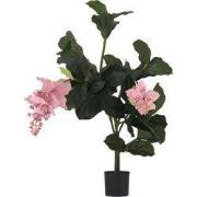 Kunstplant Medinilla magnifica - Hoogte 85cm