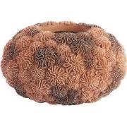 Light & Living - Vaas  - Ø37x21 cm - Bruin