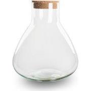 URBANJNGL - Terrarium fles ‘Sammie’ met kurk - Gesloten terrarium Ø 22...