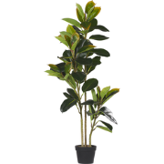 FICUS ELASTICA - Kunstplant - Groen - Synthetisch materiaal