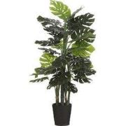 Monstera in plastic pot green - h140xd80cm