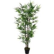 Bamboo in pot green - h155xd90cm