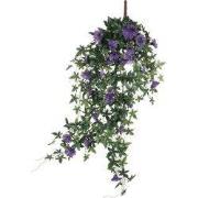 Petunia hanging d. purple - l80xw20xh15cm