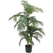 Areca palm green in plastic pot - h150xd100cm