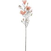 Magnolia peach - l88cm