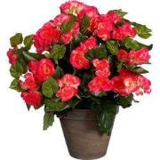 Mica Decorations Begonia Kunstplant in Bloempot Stan - H37 x Ø36 cm - ...