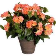 Mica Decorations Begonia Kunstplant in Bloempot Stan - H37 x Ø36 cm - ...