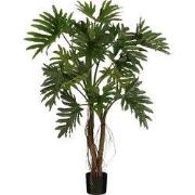 Philodendron in pot green - h140xd110cm