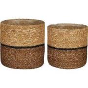 Mica Decorations Damian Plantenmand - Set van 2 - H20 x Ø20 cm - Zeegr...