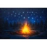 Led Indoor Canvas 38X58Cm Fire Led + 42 Fiber Optic Sta
