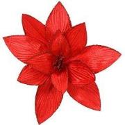 Poinsettia pesfluweel d30h15 cm rood