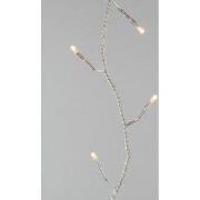 LED rice lights buiten