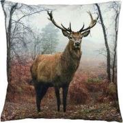 Kussen Xmas printed 45x45 cm dessin 7.