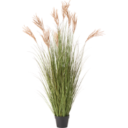 CLAW FLOWER - Kunstplant - Groen/Bruin - 150 cm - Synthetisch