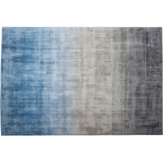 ERCIS - Laagpolig vloerkleed - Grijs/Blauw - 140 x 200 cm - Viscose