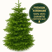 FURNILUX - Nordmann FRASERI  Kerstboom 180 -210 cm - Zonder Kluit