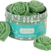 Waxmelts meadow prairie wax melts 10 stuks