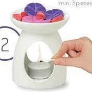 48 geurchips bolsius magnolia