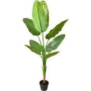 Clayre & Eef Kunstplant 160 cm Groen Kunststof