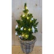 Echte kerstboomje 40 cm in mand met verlichting zilver
