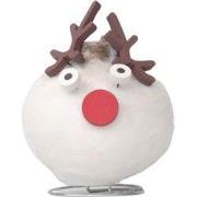 Amaryllis - Hippeastrum 'Wax special Santa Reindeer'